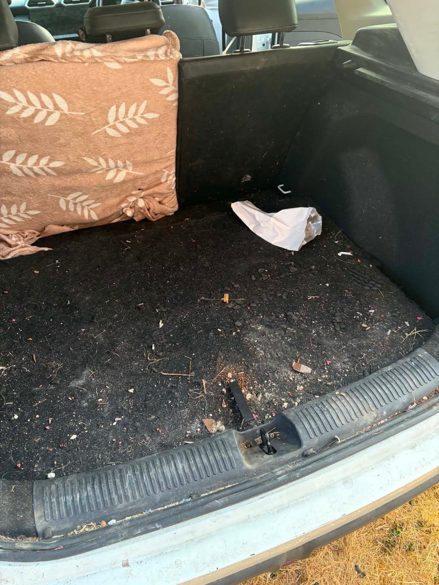 Estate car boot — before valeting