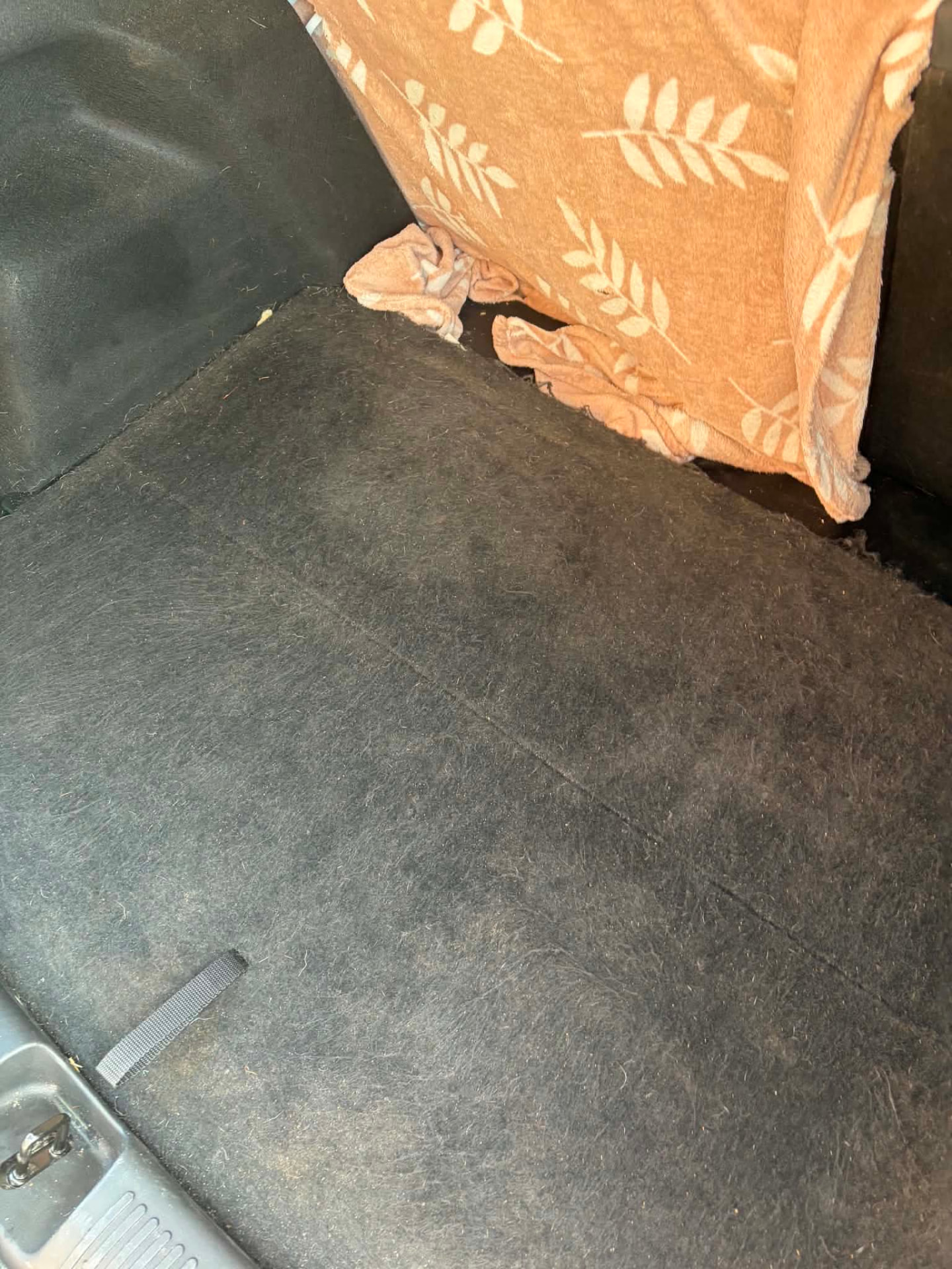 Estate car boot — after valeting